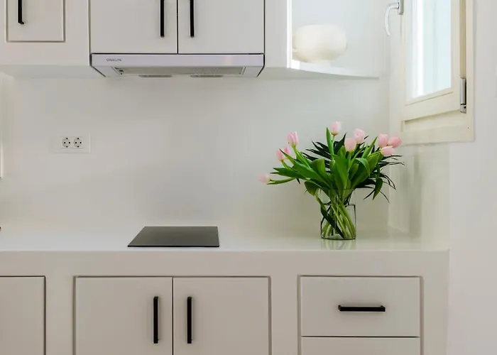 Lejlighed Sunset Windmills House